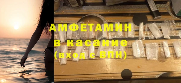 прущие грибы Богданович