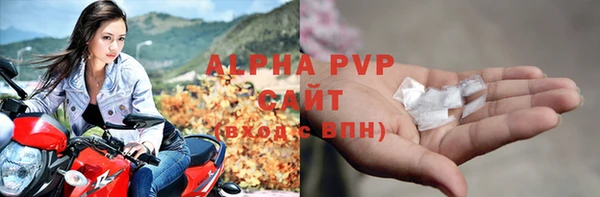 трава Белокуриха