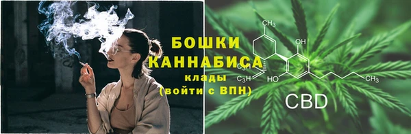 прущие грибы Богданович