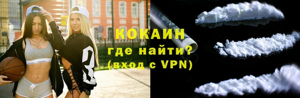 прущие грибы Богданович