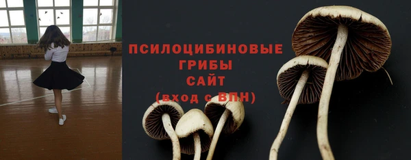 прущий лед Богородск