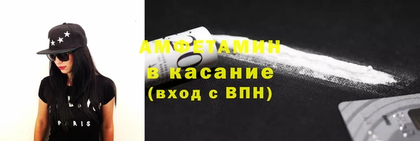 прущие грибы Богданович