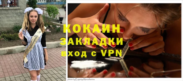 прущие грибы Богданович