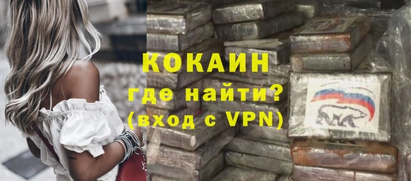 прущие грибы Богданович