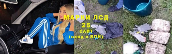 прущие грибы Богданович
