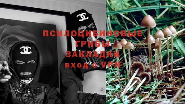 альфа пвп Богородицк